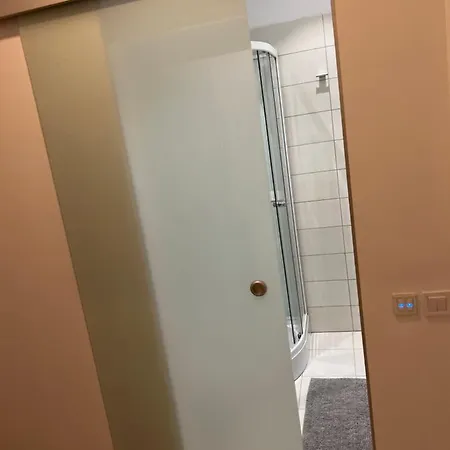 Stunning 2-room Penthouse With Lakeview W11 Appartement